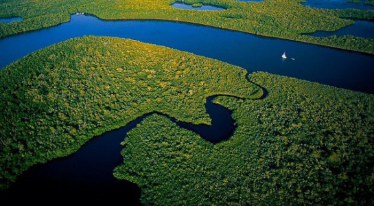 Photo (c) Intercoonecta 2017